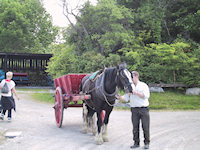 Muckross traditional Farms3
